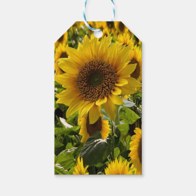 Gift Bags Sunflowers Gift Tags (Front)