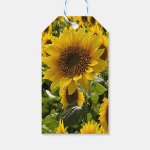 Gift Bags Sunflowers Tags