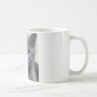 gift mug