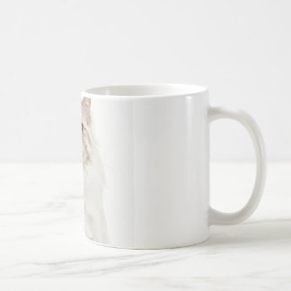 gift mug