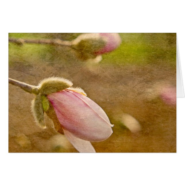 Gift of Hope (Front Horizontal)