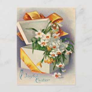 Gift Present Daffodil Jonquil Postcard