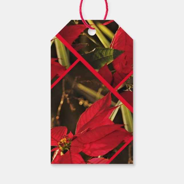 Gift Tag Poinsettia Christmas Holiday (Back)