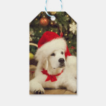 GIFT TAG WHITE Labrador retriever WITH Santa hat