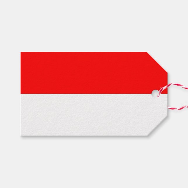Gift Tag with Flag of Indonesia (Front (Horizontal))