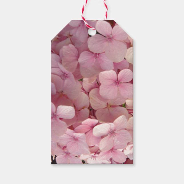 Gift Tags (Front)