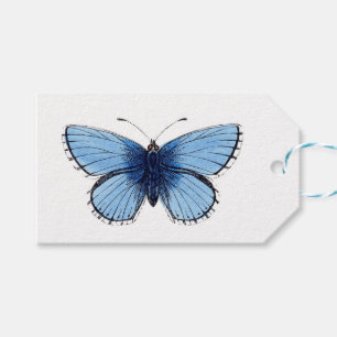 Gift Tags - Blue Butterfly