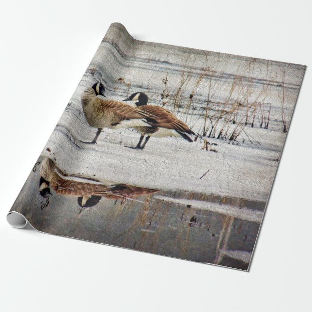 Gift Wrap-Tell Me No Lies Wrapping Paper (Unrolled)