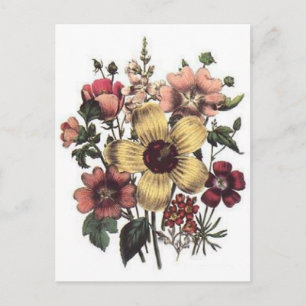 Gifts For Smiles Postcard