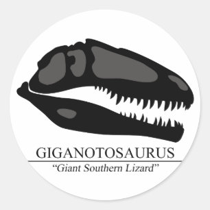 Giganotosaurus Skull Classic Round Sticker