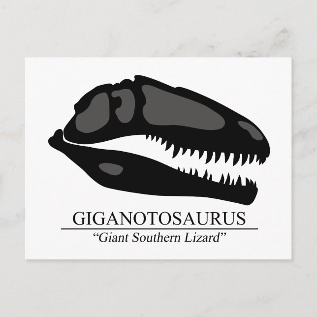 Giganotosaurus Skull Postcard (Front)