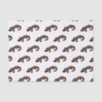 Gila monster cartoon illustration