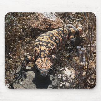 Gila Monster Mouse Pad