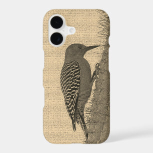 Gila Woodpecker on Cactus Sepia Arizona Photo