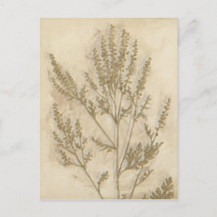 Gilded Foliage II Postcard