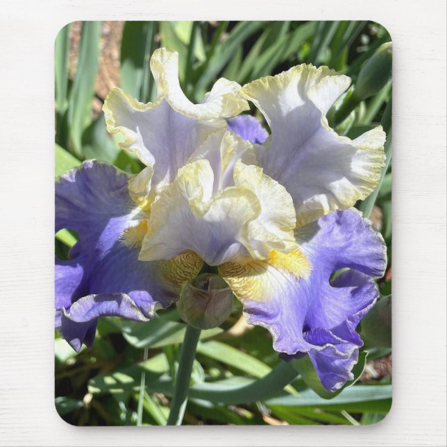 Gilded Iris Mouse Pad (Front)