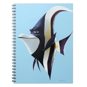 Gill 1 notebook