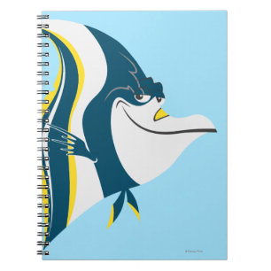Gill 2 notebook