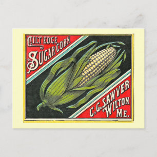 Gilt Edge Sugar Corn Vintage Crate Label Postcard