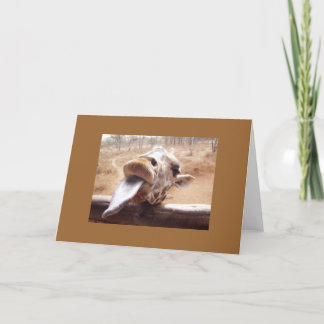 Gimme a Kiss Card