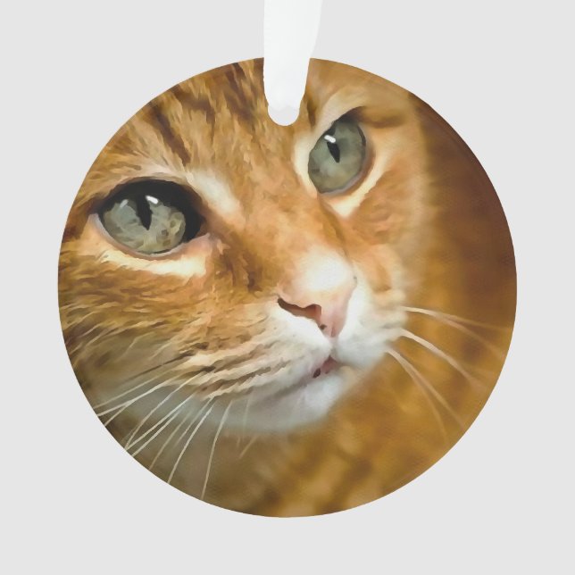 Gingembre adorable Tabby Chat Poster Portrait anim (devant)