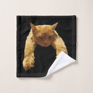 Gingembre Lazy Chat, Laver le linge