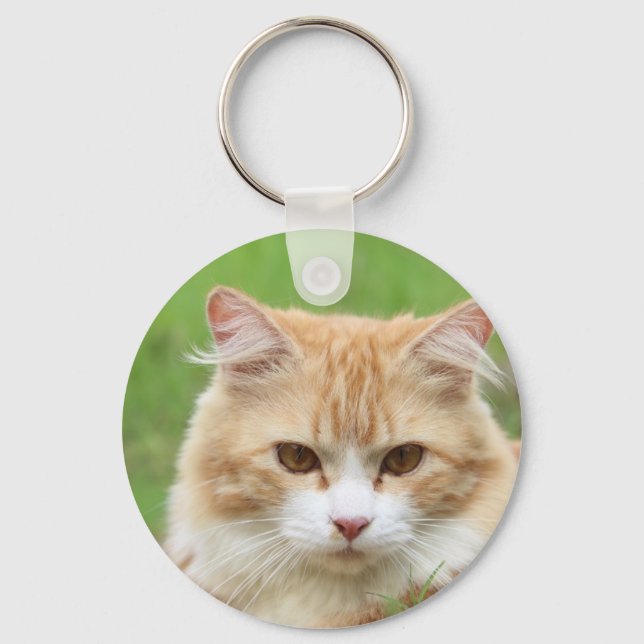 Ginger and White Cat, so cute! Keychain (Front)