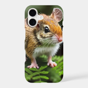 Ginger Australian Hopping Mouse, 
