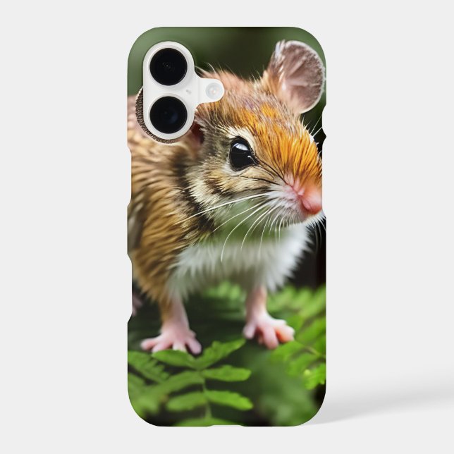 Ginger Australian Hopping Mouse,  (Back)
