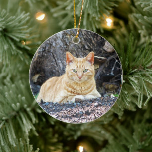 Ginger Boy Ceramic Ornament