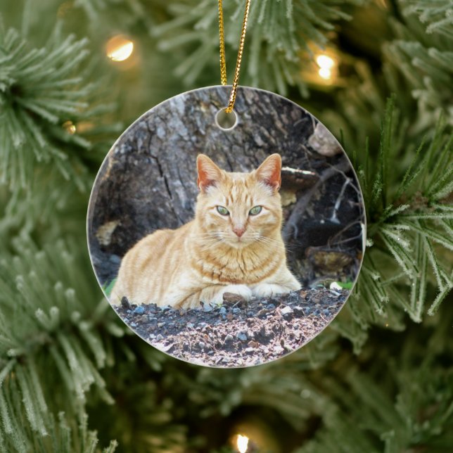 Ginger Boy Ceramic Ornament (Tree)