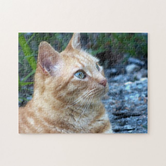 Ginger Boy Jigsaw Puzzle (Horizontal)