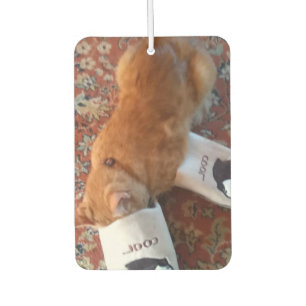 ginger cat air freshener