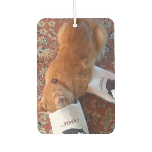 ginger cat air freshener (Front)