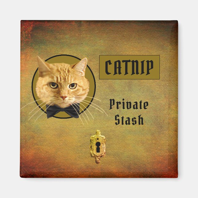 Ginger Cat Customizable Catnip Magnet (Front)