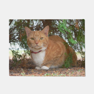 Ginger Cat Doormat