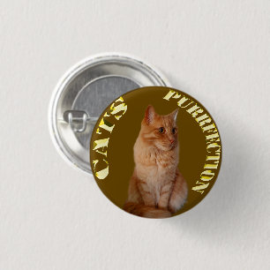 Ginger Cat Gold Coin, Round Badge 1 Inch Round Button