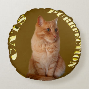 Ginger Cat Gold Coin, Round Cushion