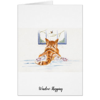 Ginger Cat / Kitten: Window Shopping