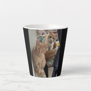 ginger cat Latte Mug