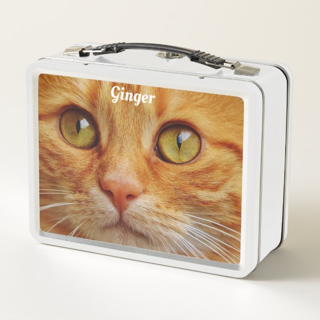 Ginger Cat Metal Lunch Box (Back)