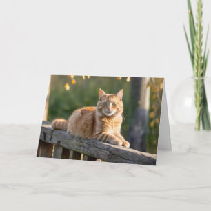 Ginger Cat On a Rustic Fence Card