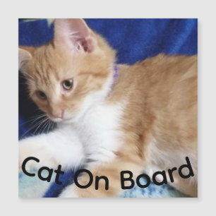 ginger cat on board photo,  car magnet