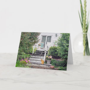 Ginger Cat on House Steps Card