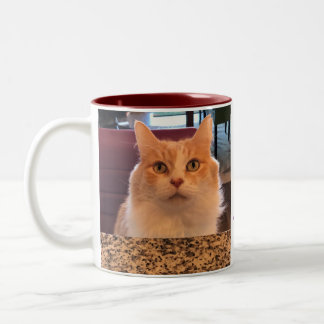 Ginger Cat Ordering Gingerbread Latte Please! Two-Tone Coffee Mug