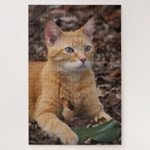 Ginger Cat Outside Fall Autumn Leaves Portrait Jigsaw Puzzle