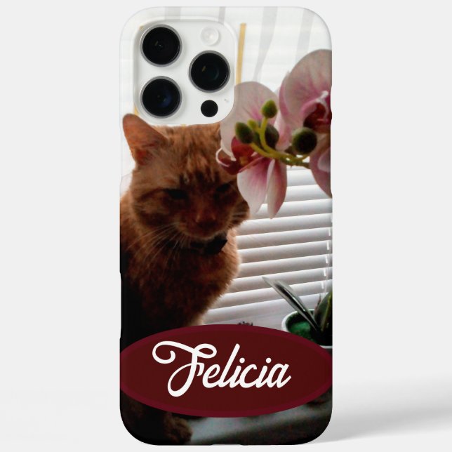 Ginger Cat Photo and Name, Customizable ,  Case-Mate iPhone Case (Back)