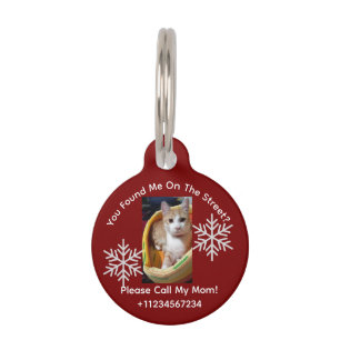 Ginger Cat Photo And Text, Customizable, Christmas Pet Tag