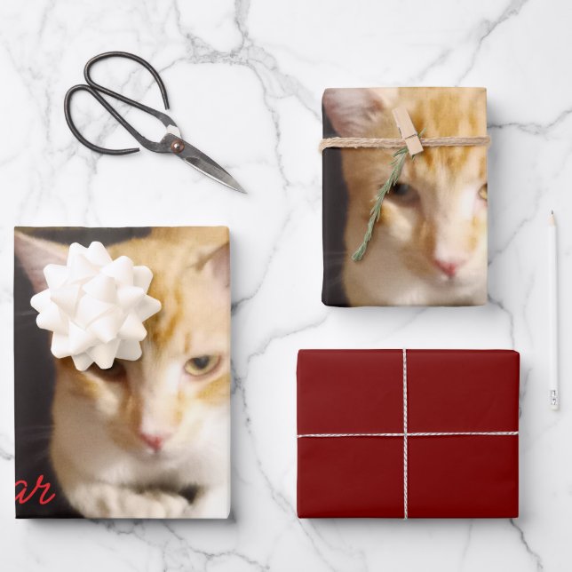 Ginger Cat Photo Text Customize Wrapping Paper Sheet (Front)