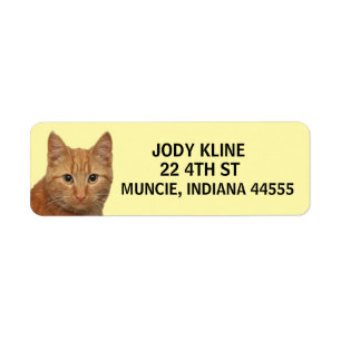 GINGER CAT Return Address Label